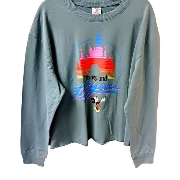 DISNEY PARKS VINTAGE 30 YEAR CELEBRATION SWEATSHIRT! NWT Size XL - Picture 2 of 13